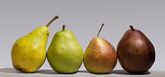Four pears — illustrative photo